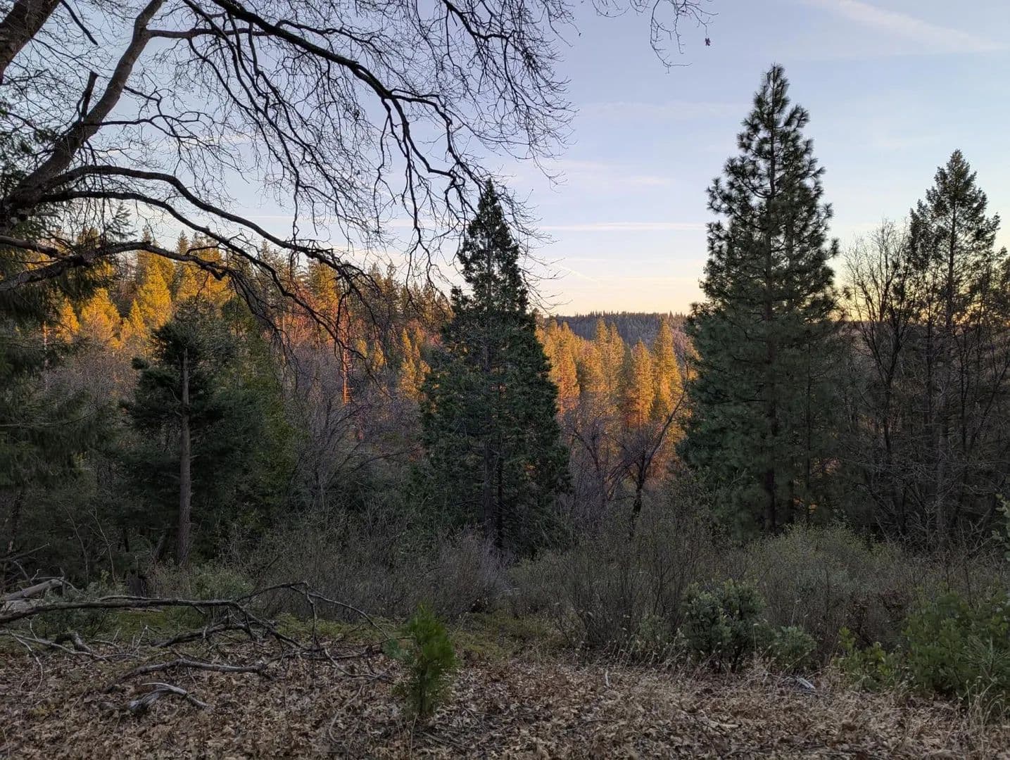 Property from 3000 Moody Ridge Road - KW - Gold Run, California, 95717