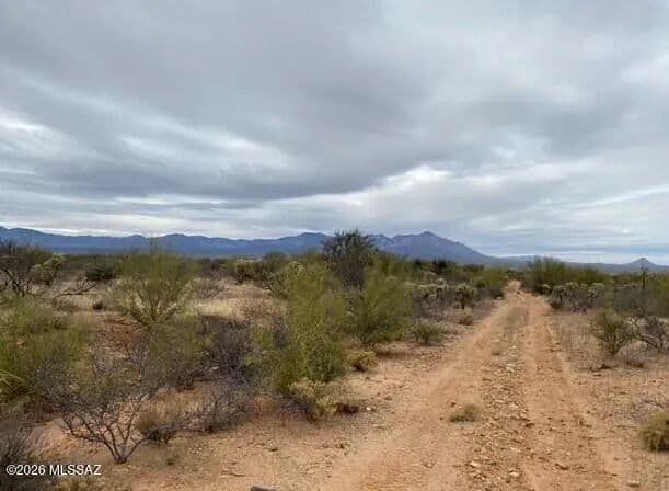 Vacant Land in Tucson - Tucson, Arizona, 85736