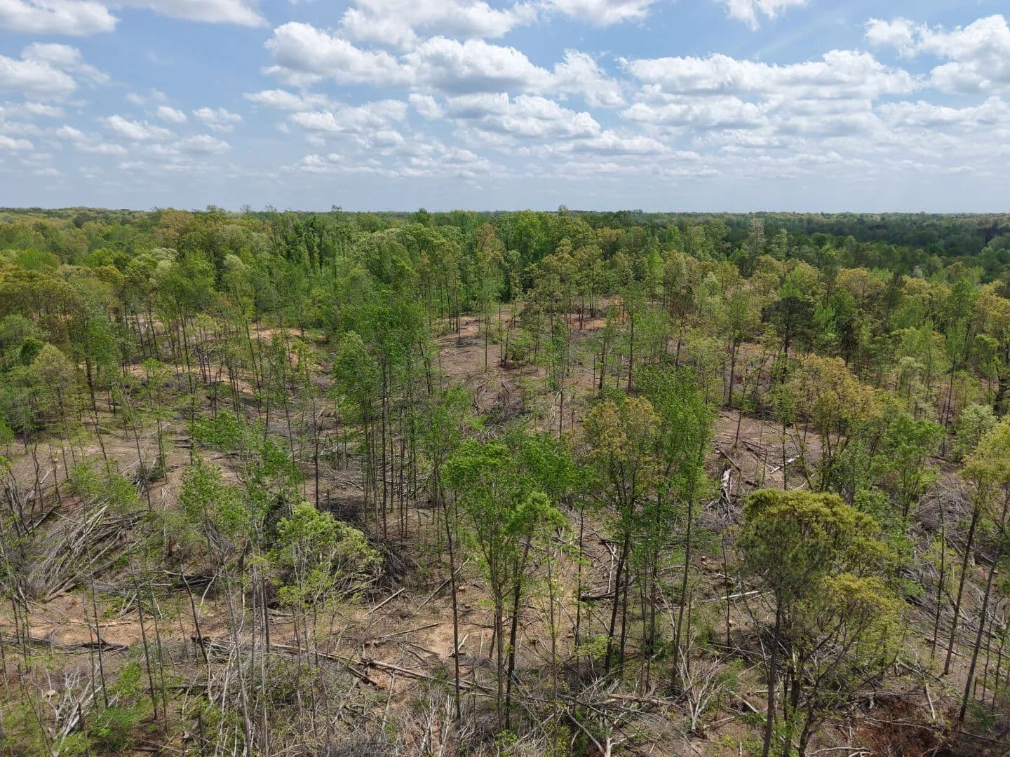 207.16 Acres in Madison County, TN - Jackson, Tennessee, 38301