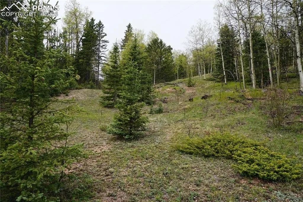 Lots & Land-Other in Cripple Creek - Cripple Creek, Colorado, 80813