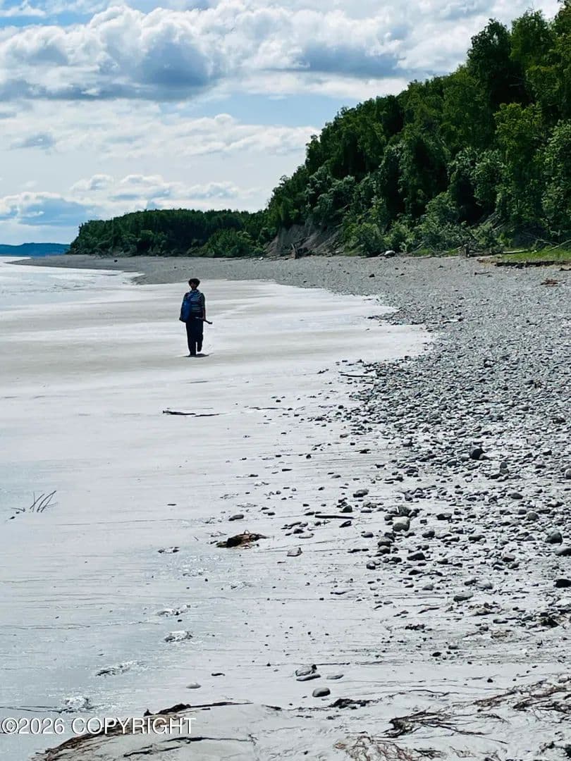 48.66 Acres of Land for Sale in Wasilla, AK - Wasilla, Alaska, 99654