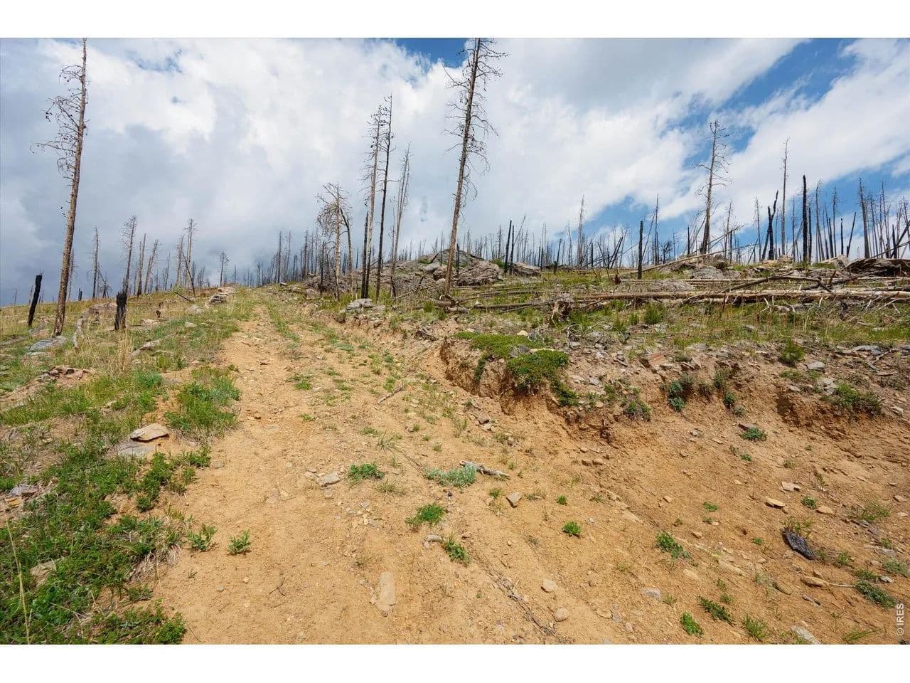 Property from 30 Sheep Horn Ct - KW - Bellvue, Colorado, 80512