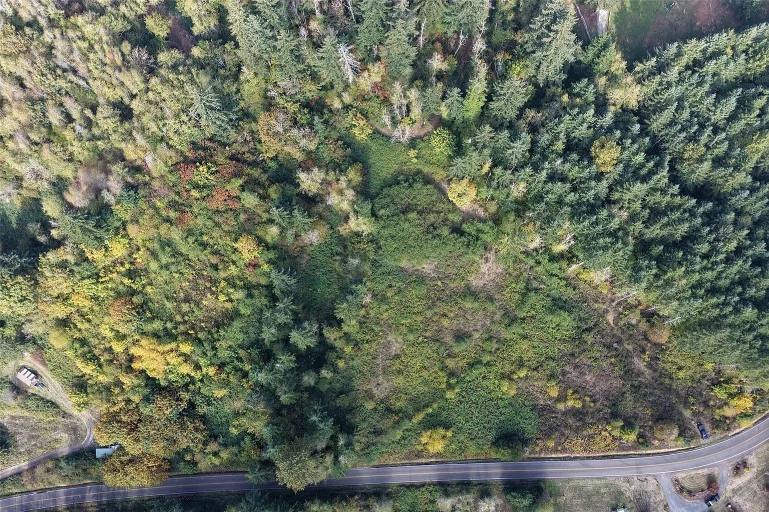 7.7 Acres of La Center, Washington Land for Sale with Paved Road Frontage - La Center, Washington, 98629