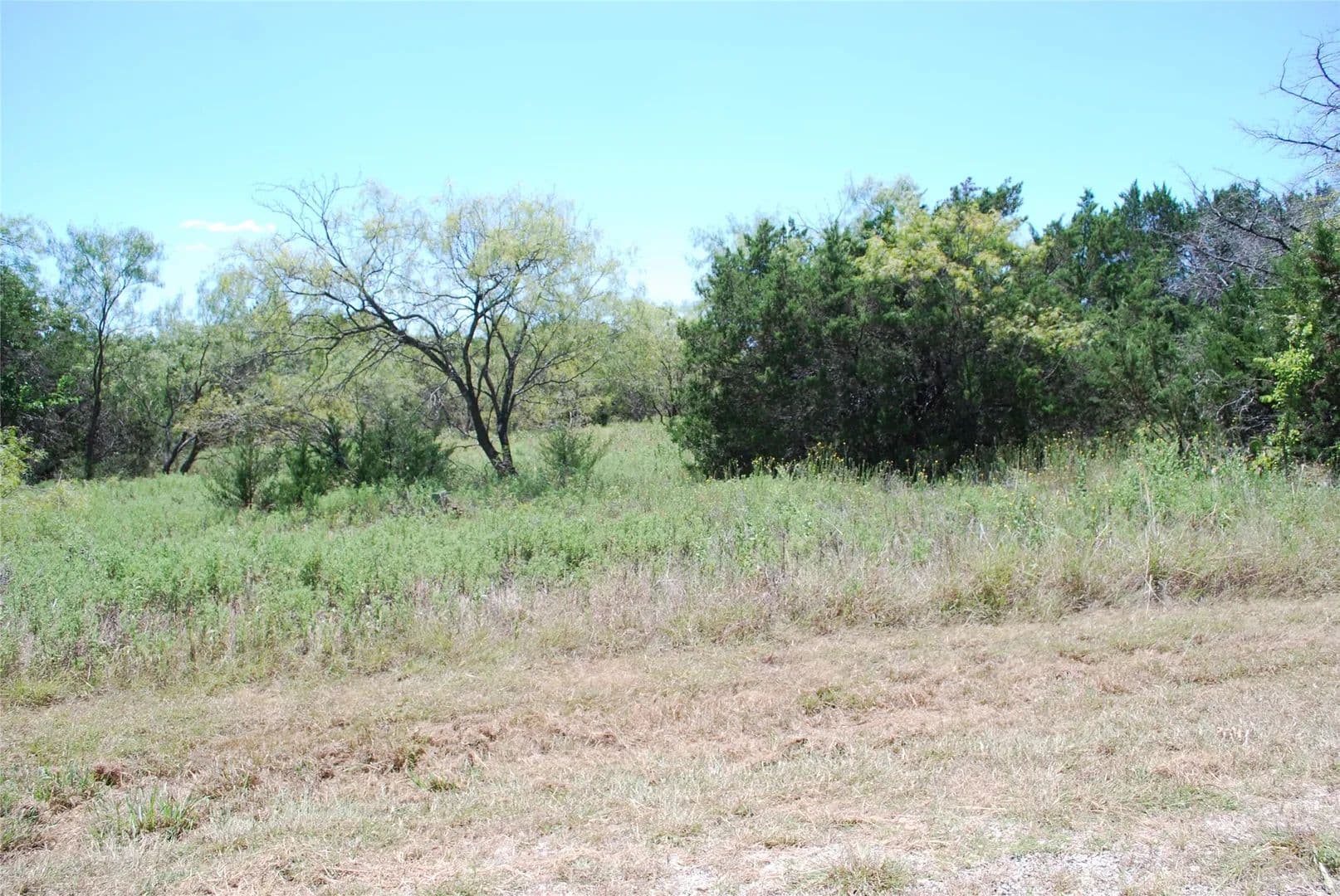 0.33 Acres of Land for Sale in Whitney, Texas - Whitney, Texas, 76692