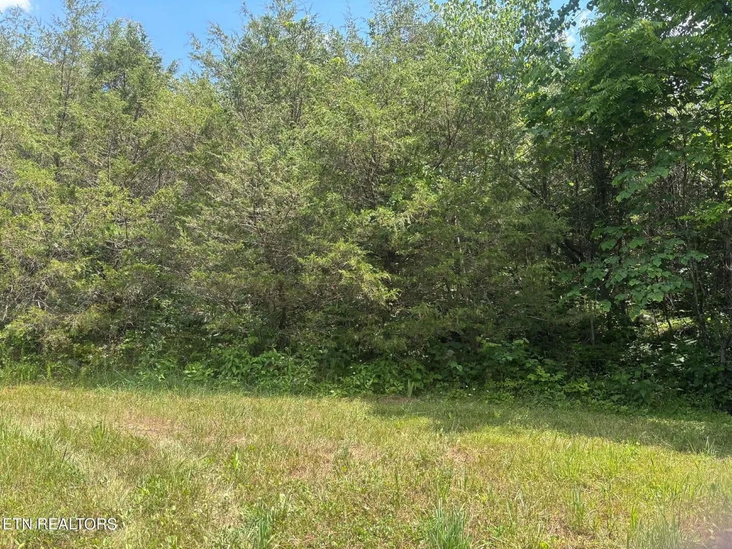 Property from 00 Mulberry Gap Rd - KW - Sneedville, Tennessee, 37869