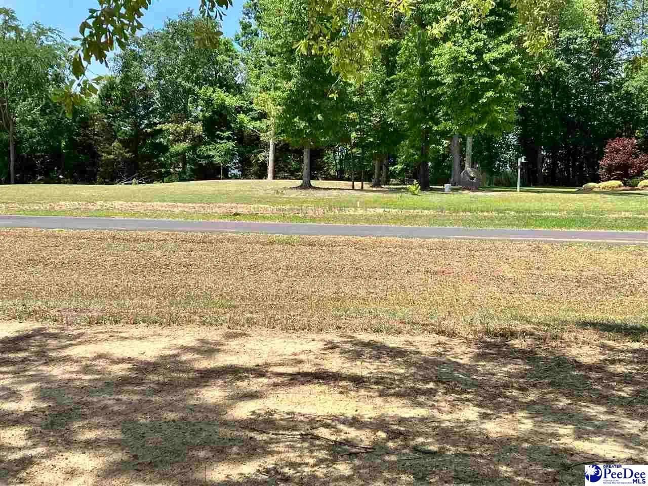 1.94 Acres of Land for Sale in Chesterfield, SC - Chesterfield, South Carolina, 29709