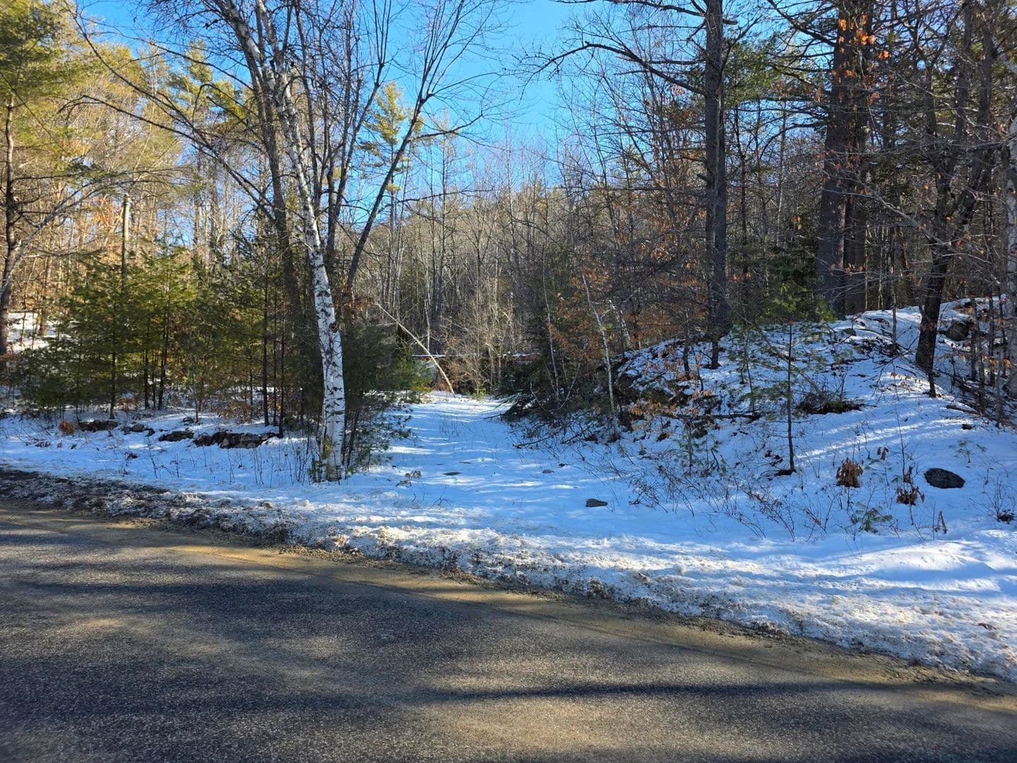 10.47 Acres of Land for Sale in Oxford, Maine - Oxford, Maine, 04270