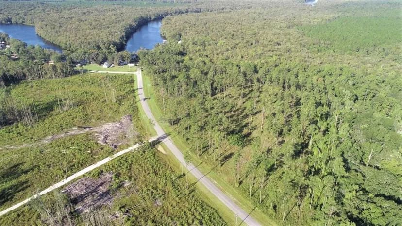 9.13 Acres Land for Sale Camden County, GA