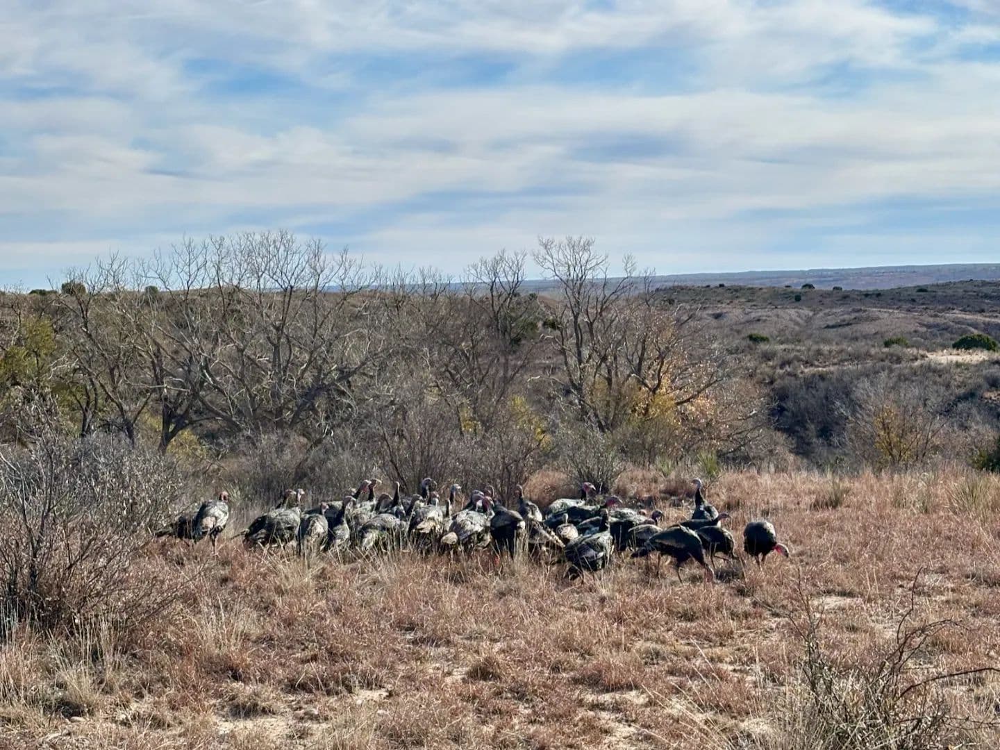 TC Ranch - Clarendon, Texas, 79226