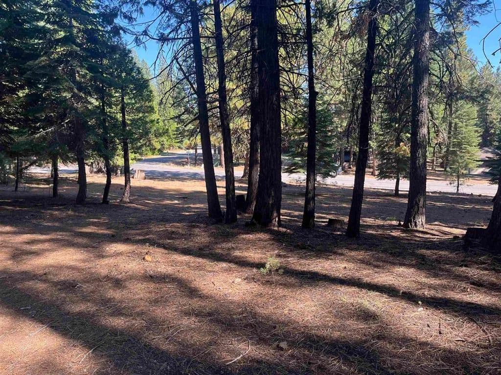 Vacant Land in Lake Almanor West - Lake Almanor West, California, 96020