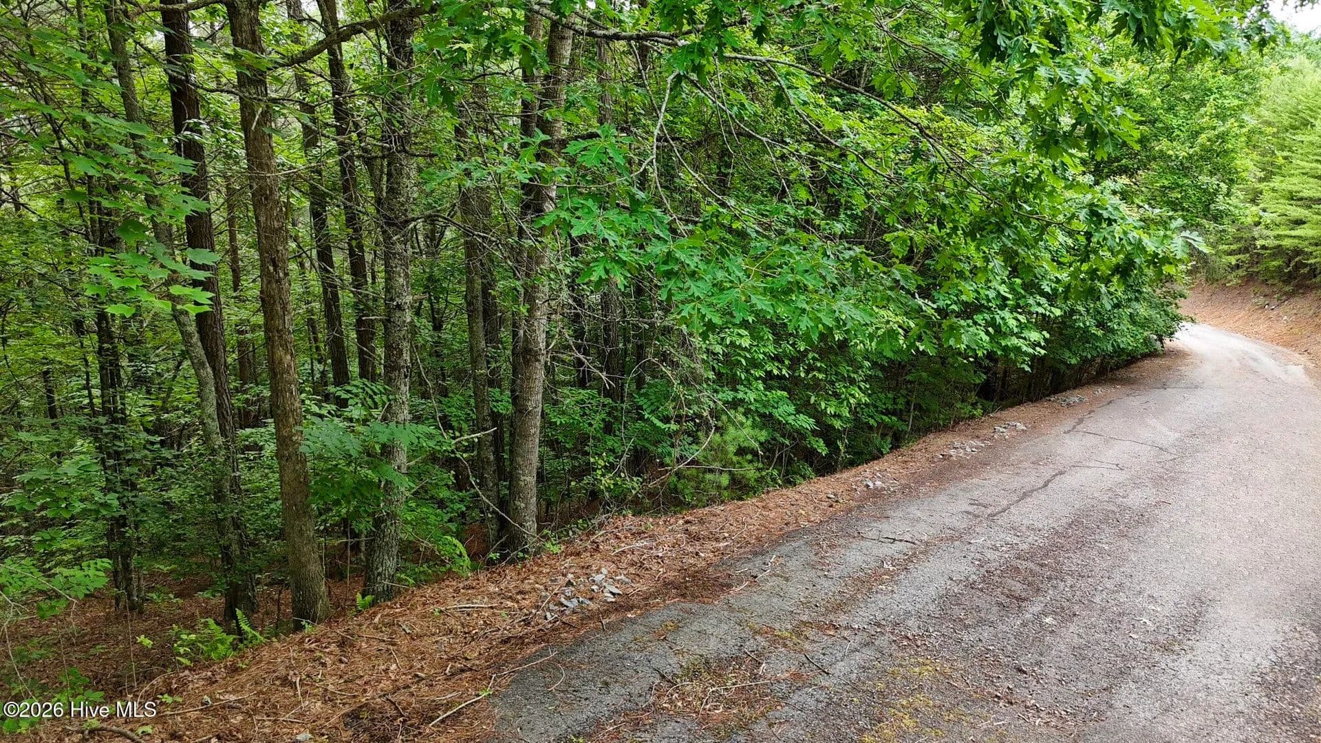 Property from 98-103 Choctaw Ridge Trail - KW - Murphy, North Carolina, 28906