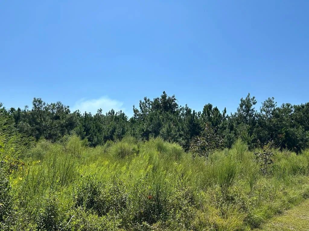 Property from TBD Butler Lane - KW - Valdosta, Georgia,