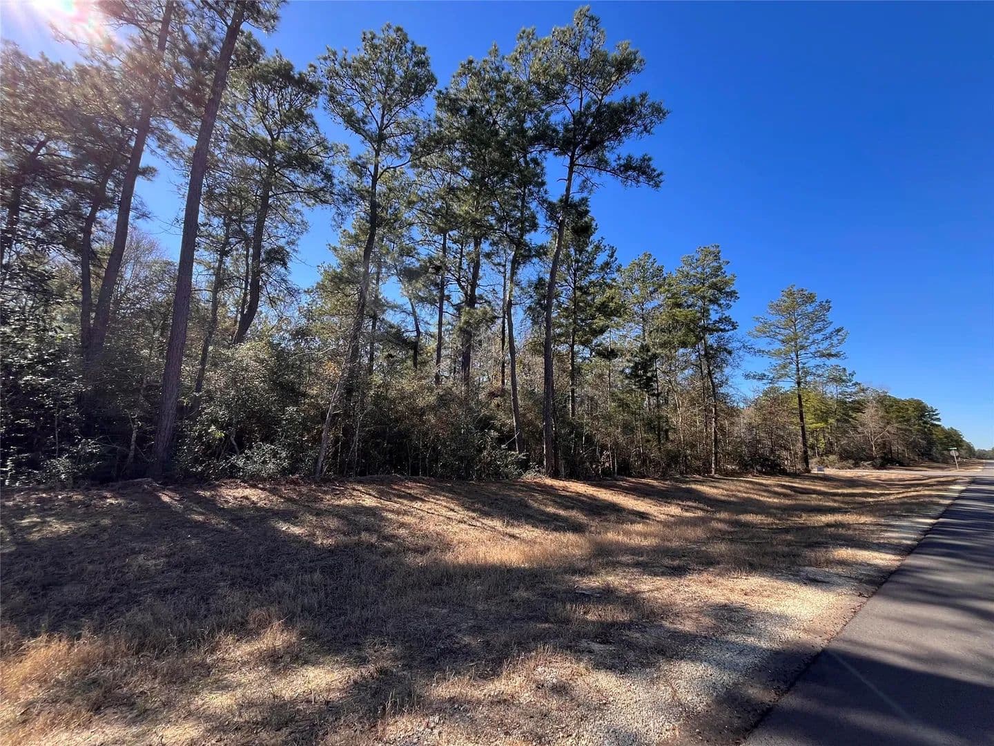 1.25 Acres of Land for Sale in Willis, Texas - Willis, Texas, 77378