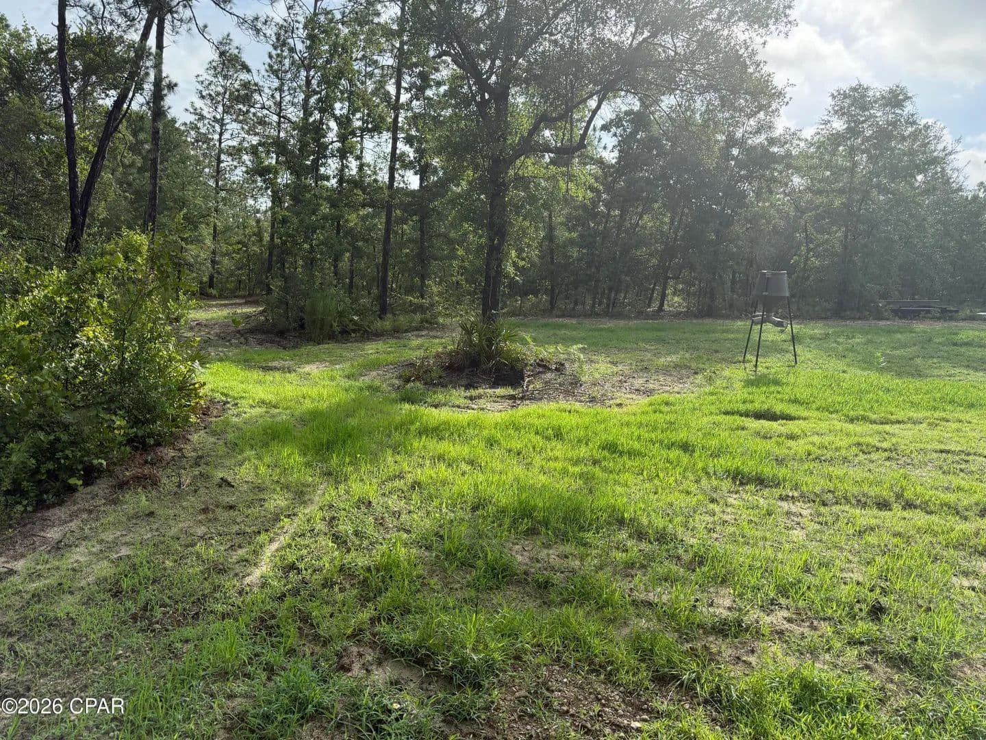 9.91 Acres of Land for Sale in Chipley, FL - Chipley, Florida, 32428