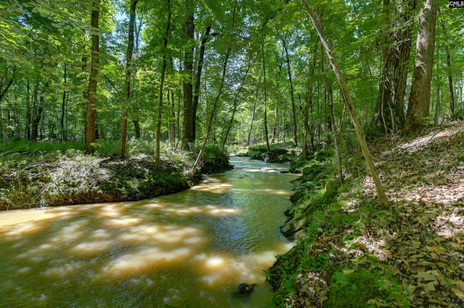 Vacant Land in Blythewood - Blythewood, South Carolina, 29016