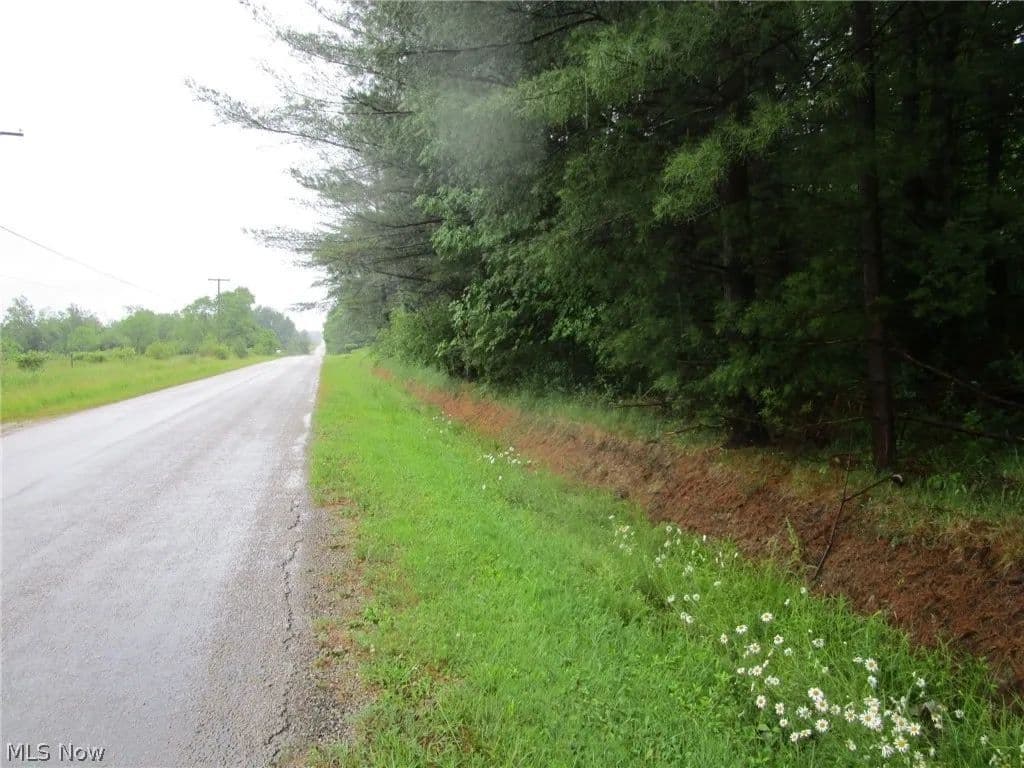 8.19 Acres of Land for Sale in Rome, Ohio - Rome, Ohio, 44085