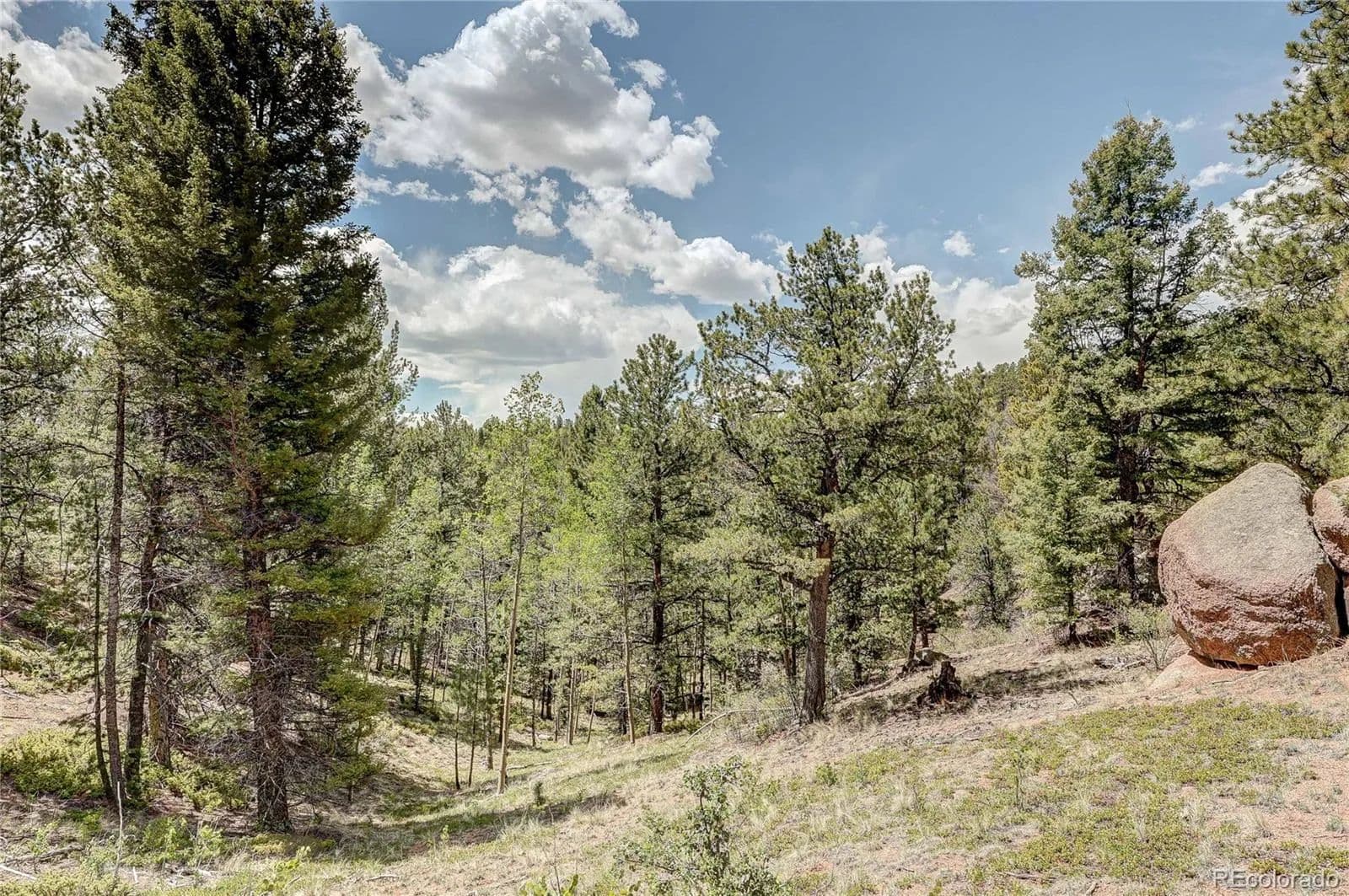 Property from 59 Robin Point - KW - Divide, Colorado, 80814