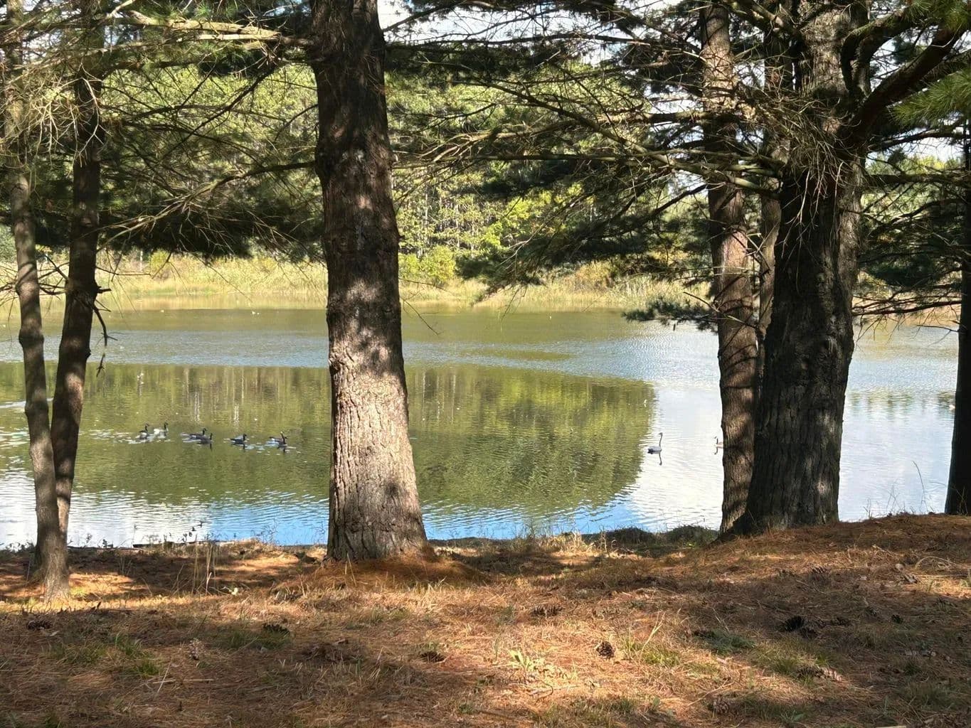 Lots & Land-Other in Canadian Lakes - land for sale