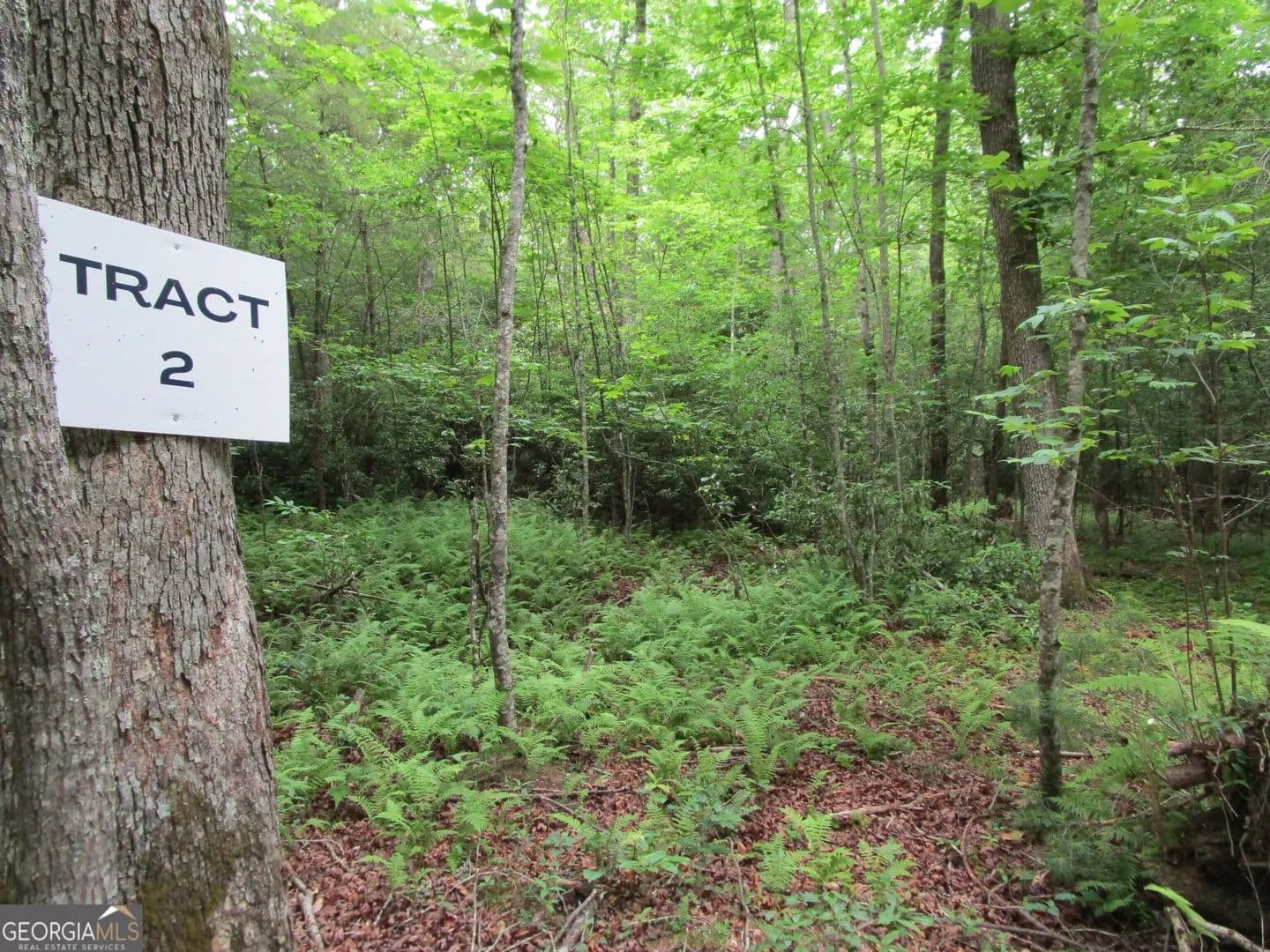 Property from TRACT 2 E New Hope Road - KW - Ellijay, Georgia, 30536