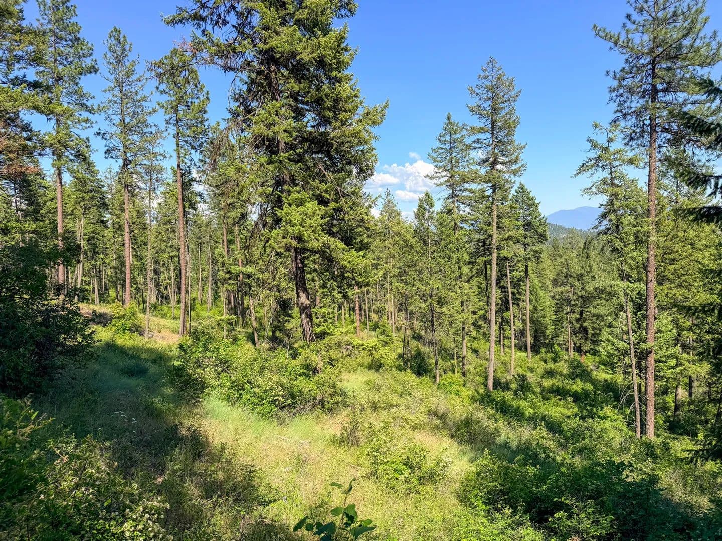 Property from 2008-TBD (LOTS E-H) SUMMIT VALLEY RD - KW - Addy, Washington, 99101