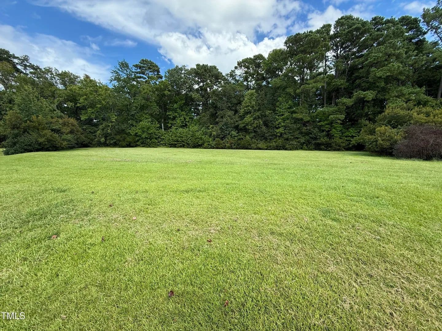 Vacant Land in Arapahoe - Arapahoe, North Carolina, 28510