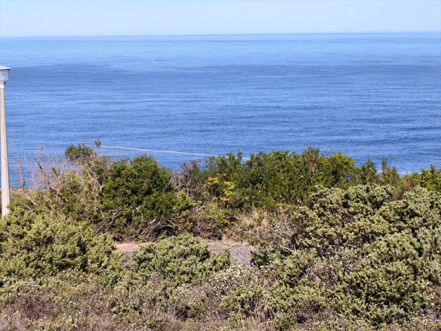 980 Acres of Land for Sale in Mossel Bay, Western Cape - land for sale