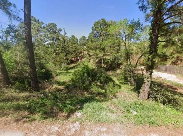 0.27 Acres of Land for Sale in Bastrop, Texas - Bastrop, Texas, 78602