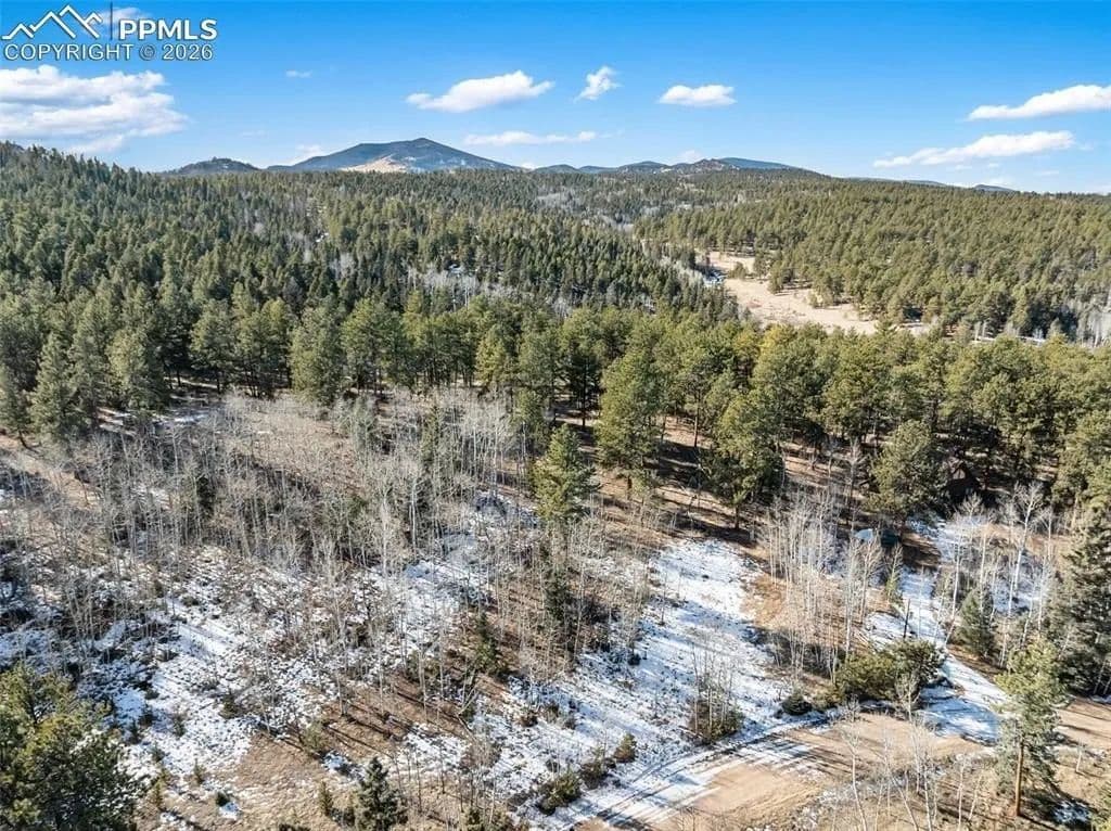 Lots & Land-Other in Lake George - Lake George, Colorado, 80827