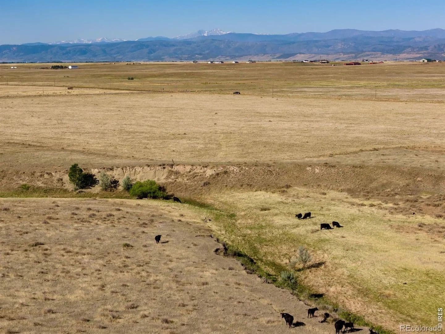 Property from 4 CR 82 - KW - Wellington, Colorado, 80549