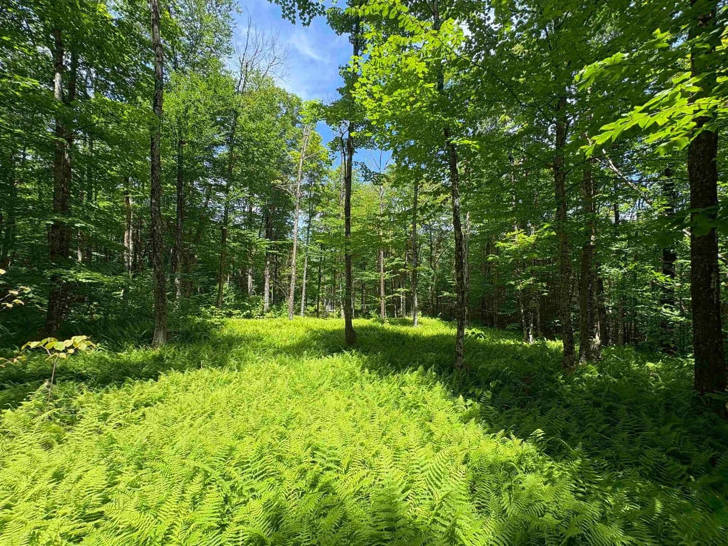 1.7 Acres of Land for Sale in Jay, VT - Jay, Vermont, 05859