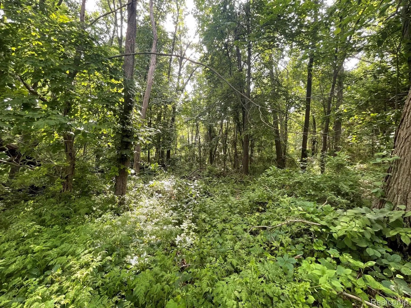 Property from 09 Tipsico Lake Road - KW - Michigan, 48357