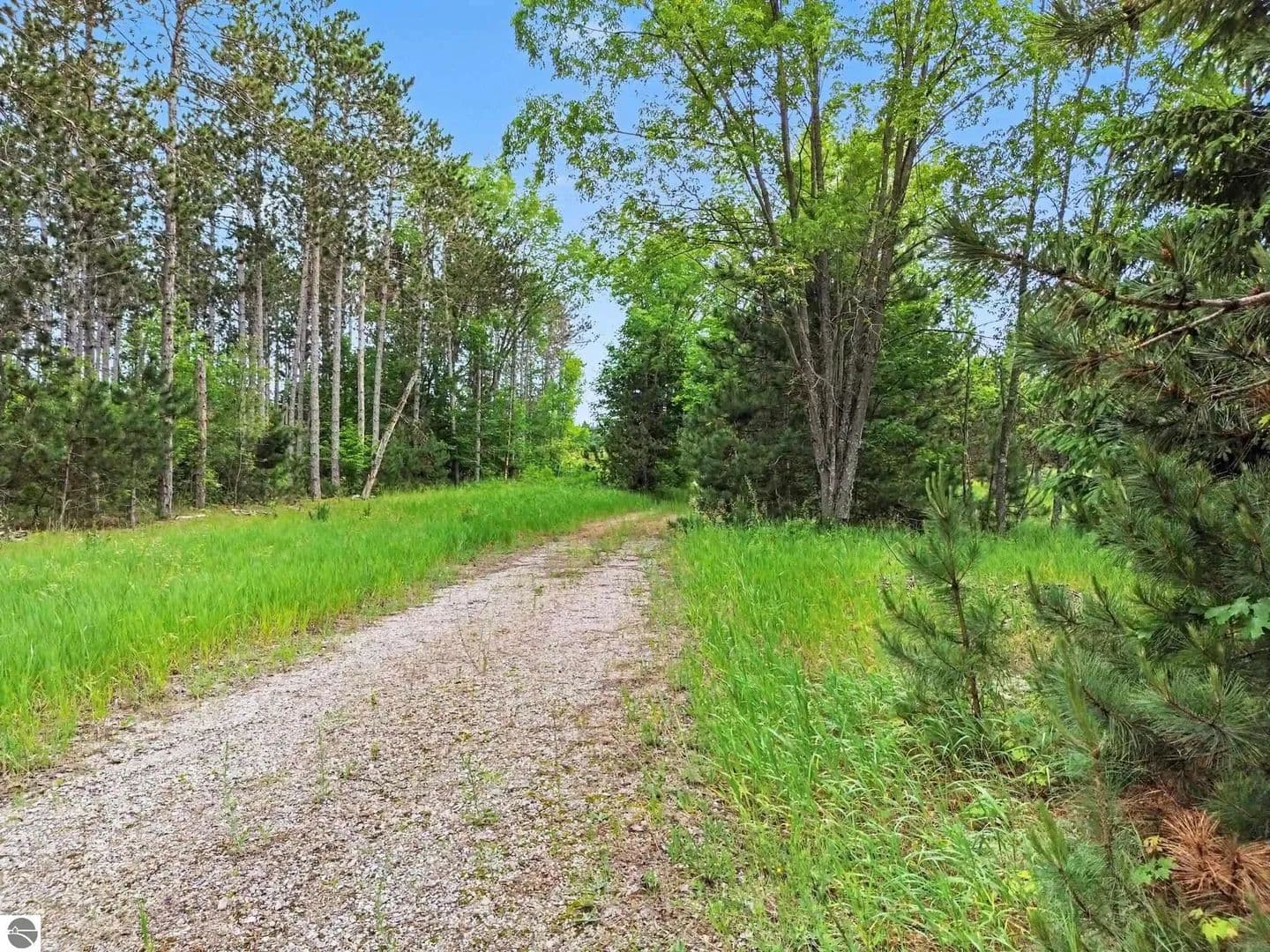 9.83 Acres of Land for Sale in Mesick, MI - Mesick, Michigan, 49668