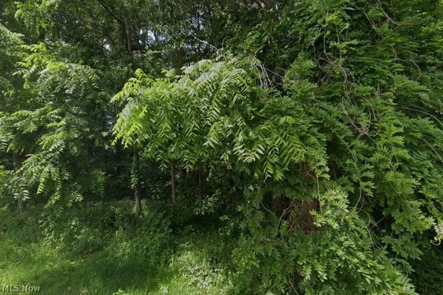 0.51 Acres of Land for Sale in Massillon, Ohio - Massillon, Ohio, 44646