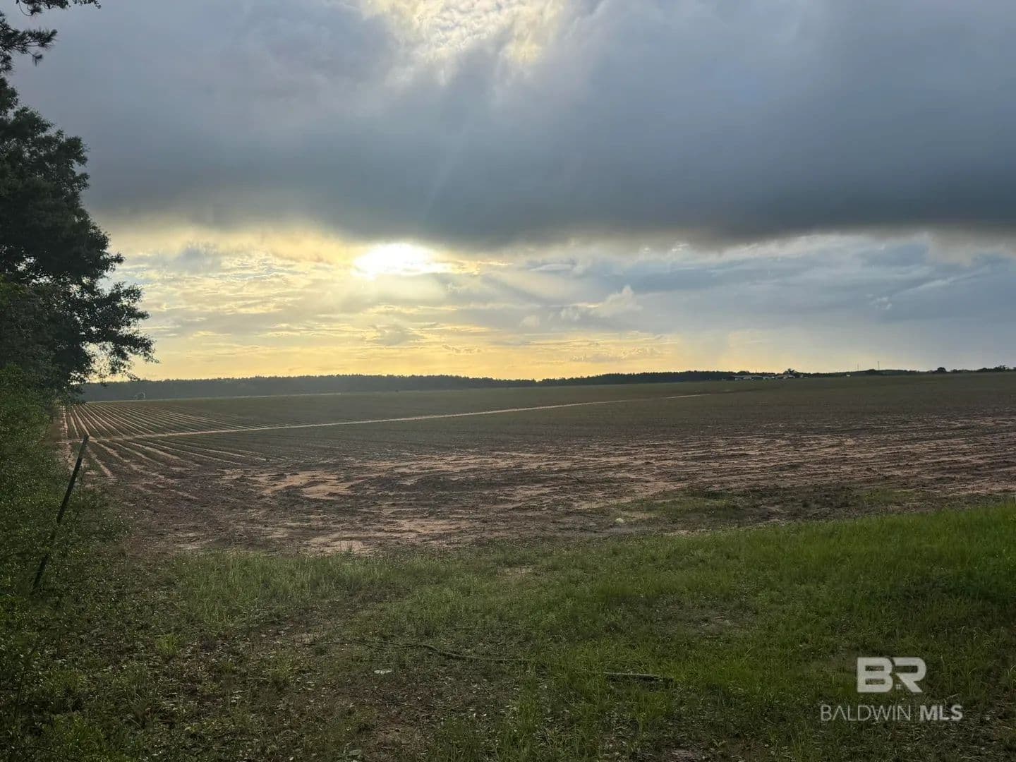 40 Acres of Land for Sale in Repton, AL - Repton, Alabama, 36475