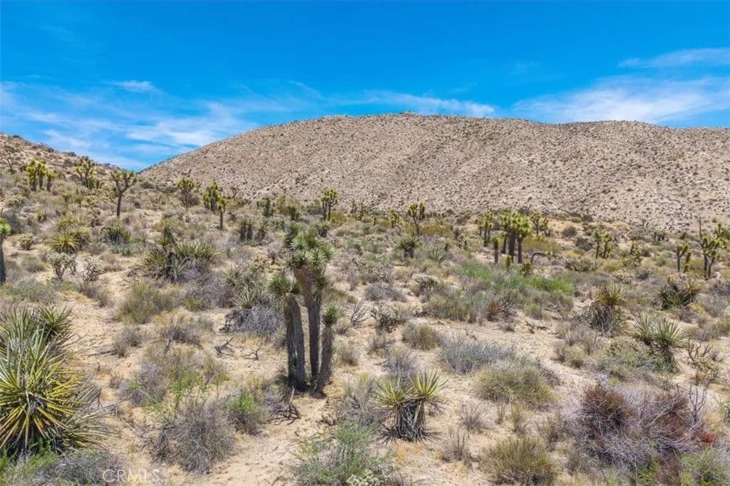 Property from 55652 Buena Vista Drive - KW - Yucca Valley, California, 92284