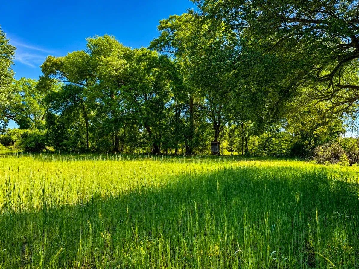 Dillman Estate - land for sale