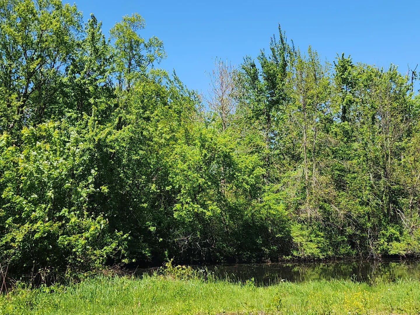 Property from 2282 W 1165 N - KW - , Indiana, 46379