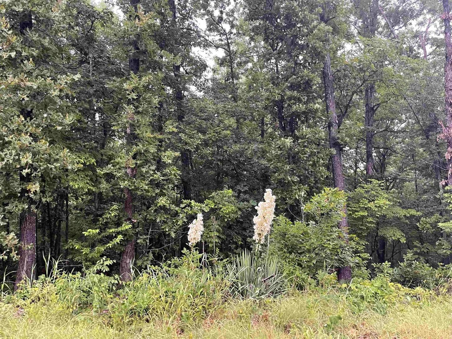 0.59 Acres of Land for Sale in Cherokee Village, Arkansas - Cherokee Village, Arkansas, 72529