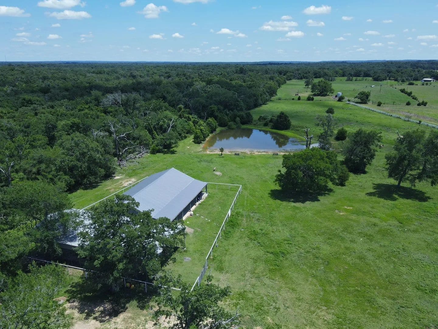 59.58 Acres of Land for Sale in Buffalo, Texas - Buffalo, Texas, 75831