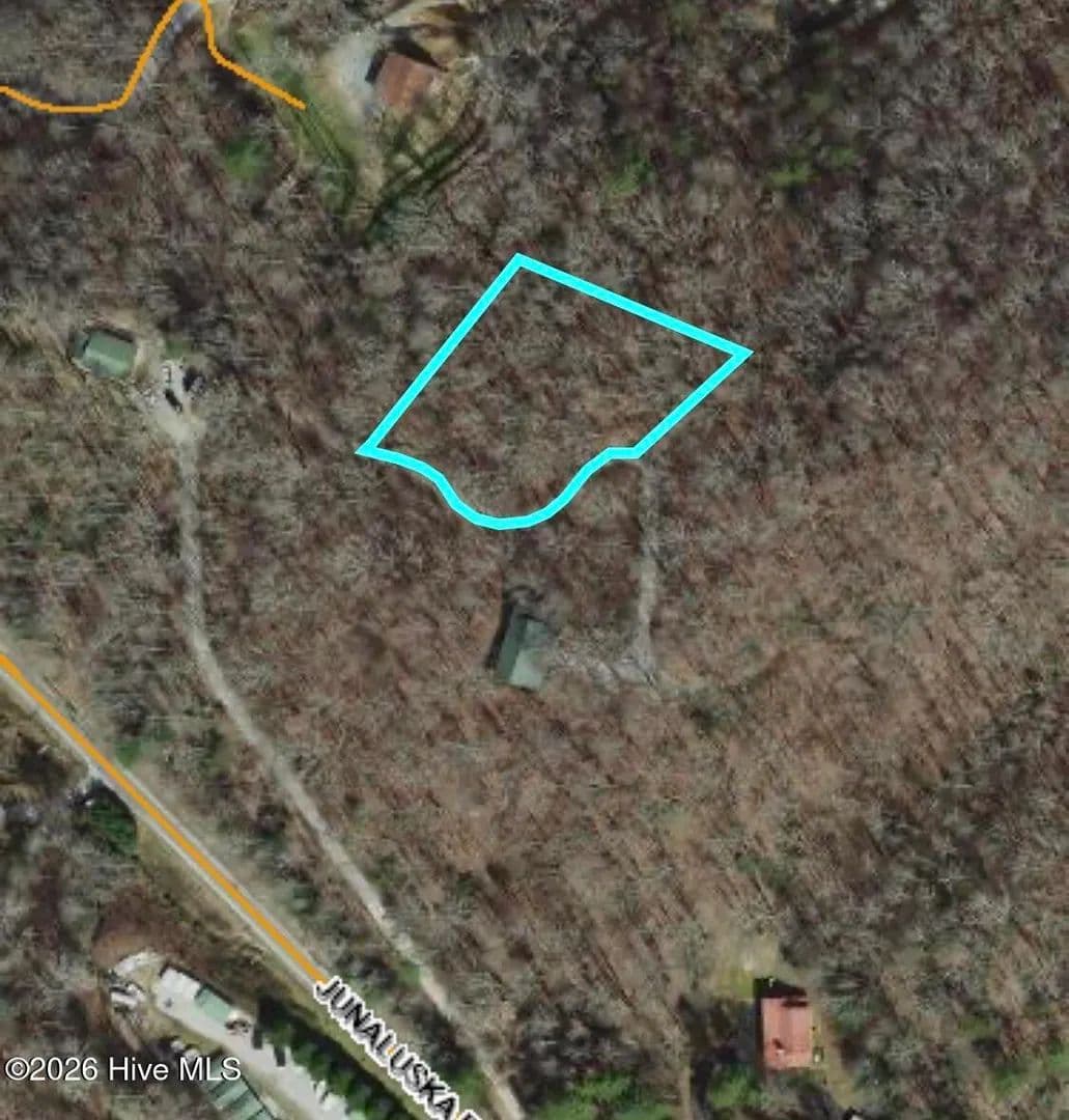 Property from Lot#3 Junaluska Road - KW - Topton, North Carolina, 28781