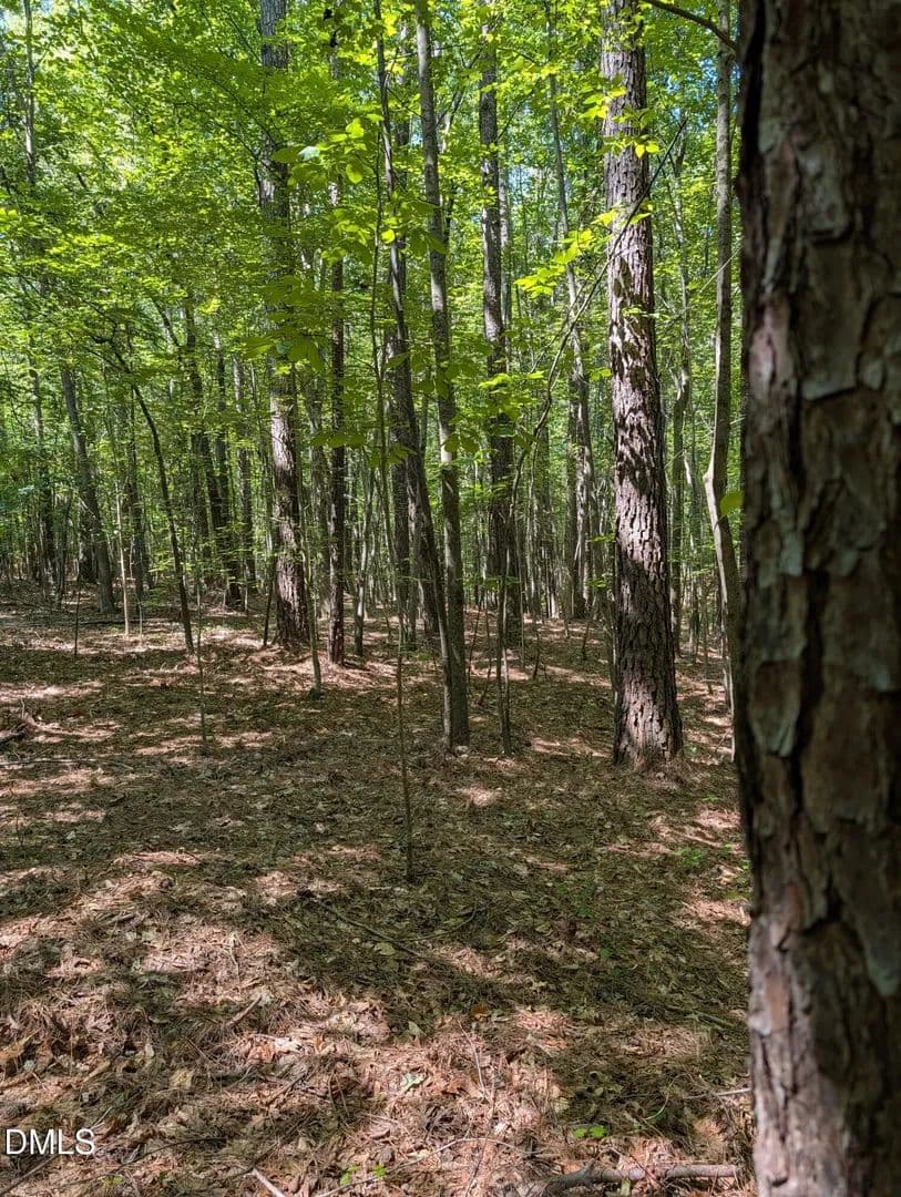 Property from Tract B2 Thelma Road - KW - Roanoke Rapids, North Carolina, 27870