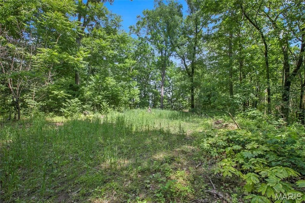 8.75 Acres of Land for Sale in Festus, MO - Festus, Missouri, 63028