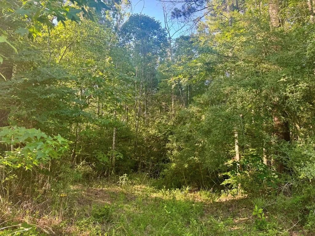 5.08 Acres of Land for Sale in Burkeville, TX - Burkeville, Texas, 75932