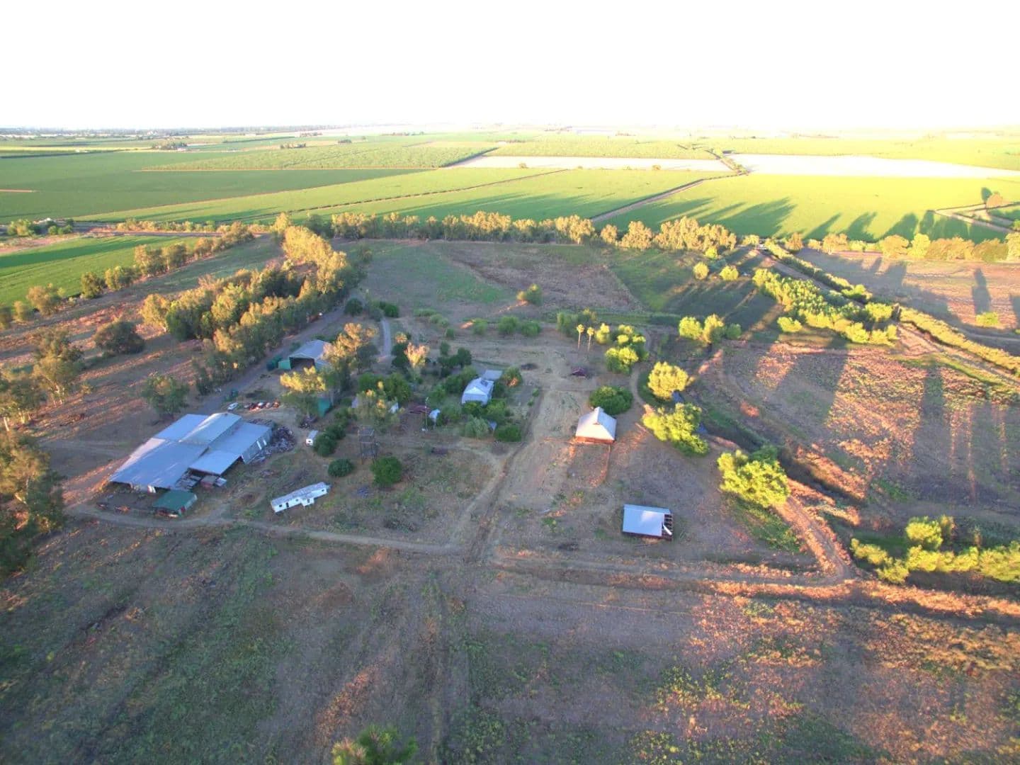 320 Acres of Organic Farmland in Woodland, California for Sale - Woodland, California, 95695