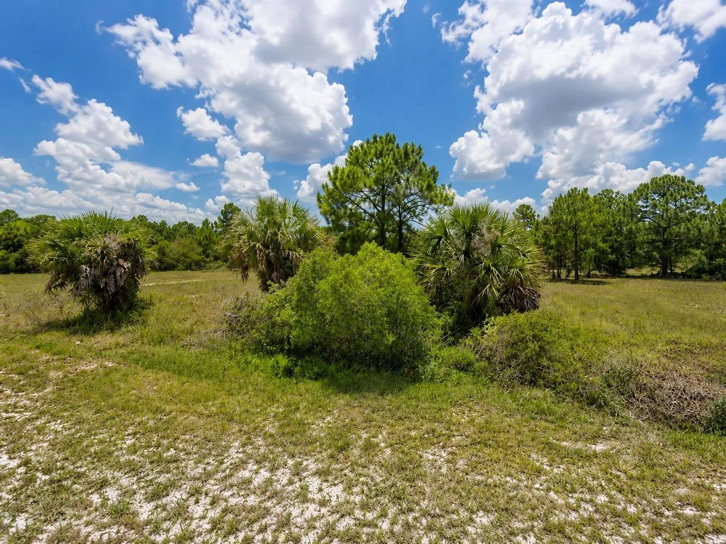 Property from 170 S Coral Street - KW - Clewiston, Florida, 33440