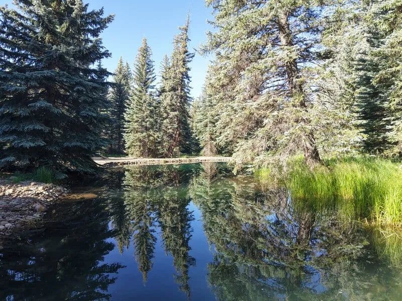 Grimes Creek Oasis - Bayfield, Colorado, 81122