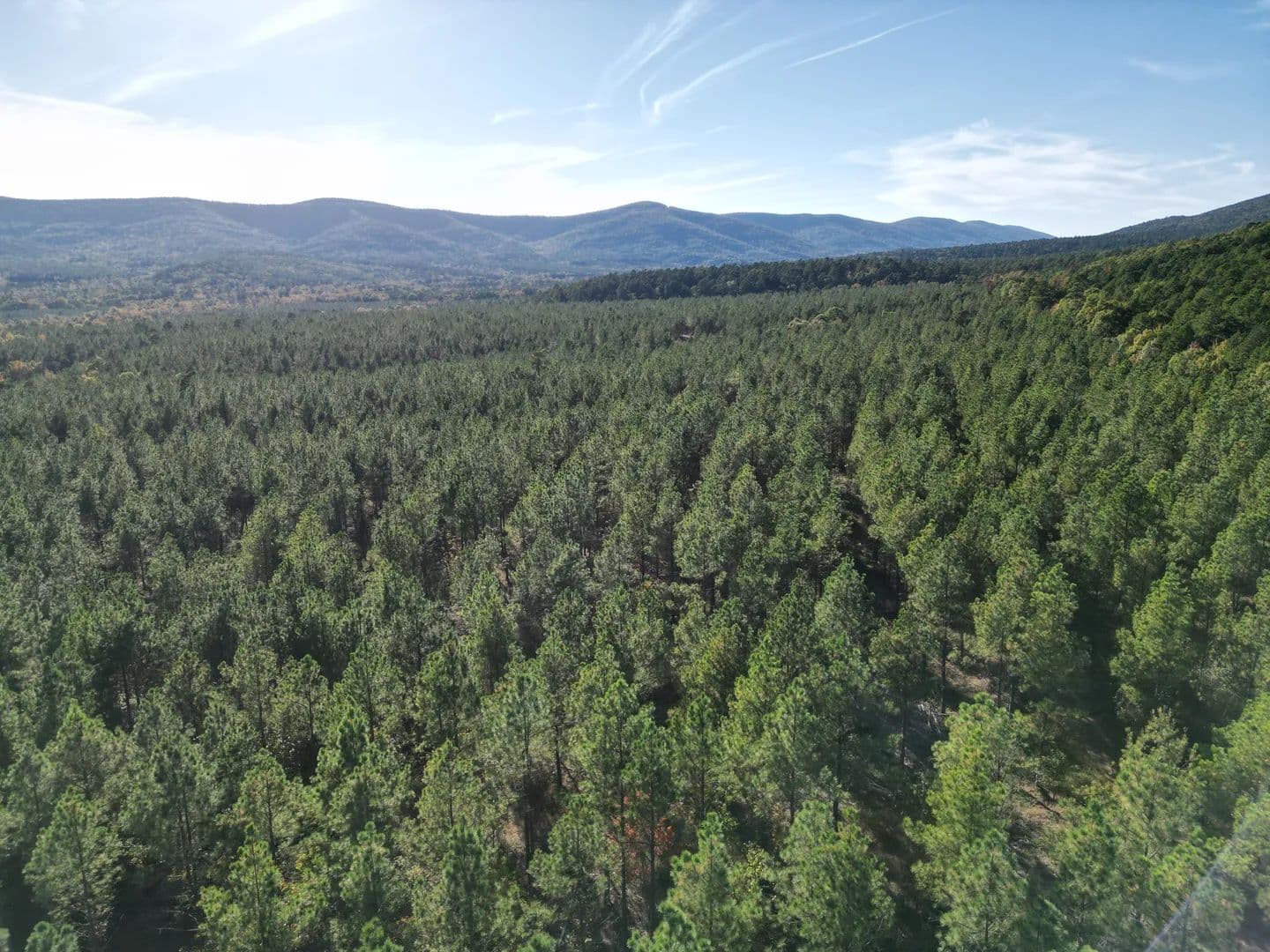 Vacant Land (10+ Acres) in Mena - Mena, Arkansas, 71953