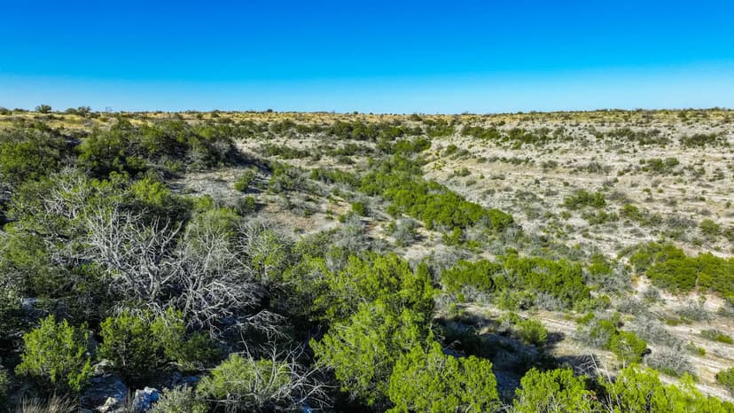 100 Acres - Crockett County