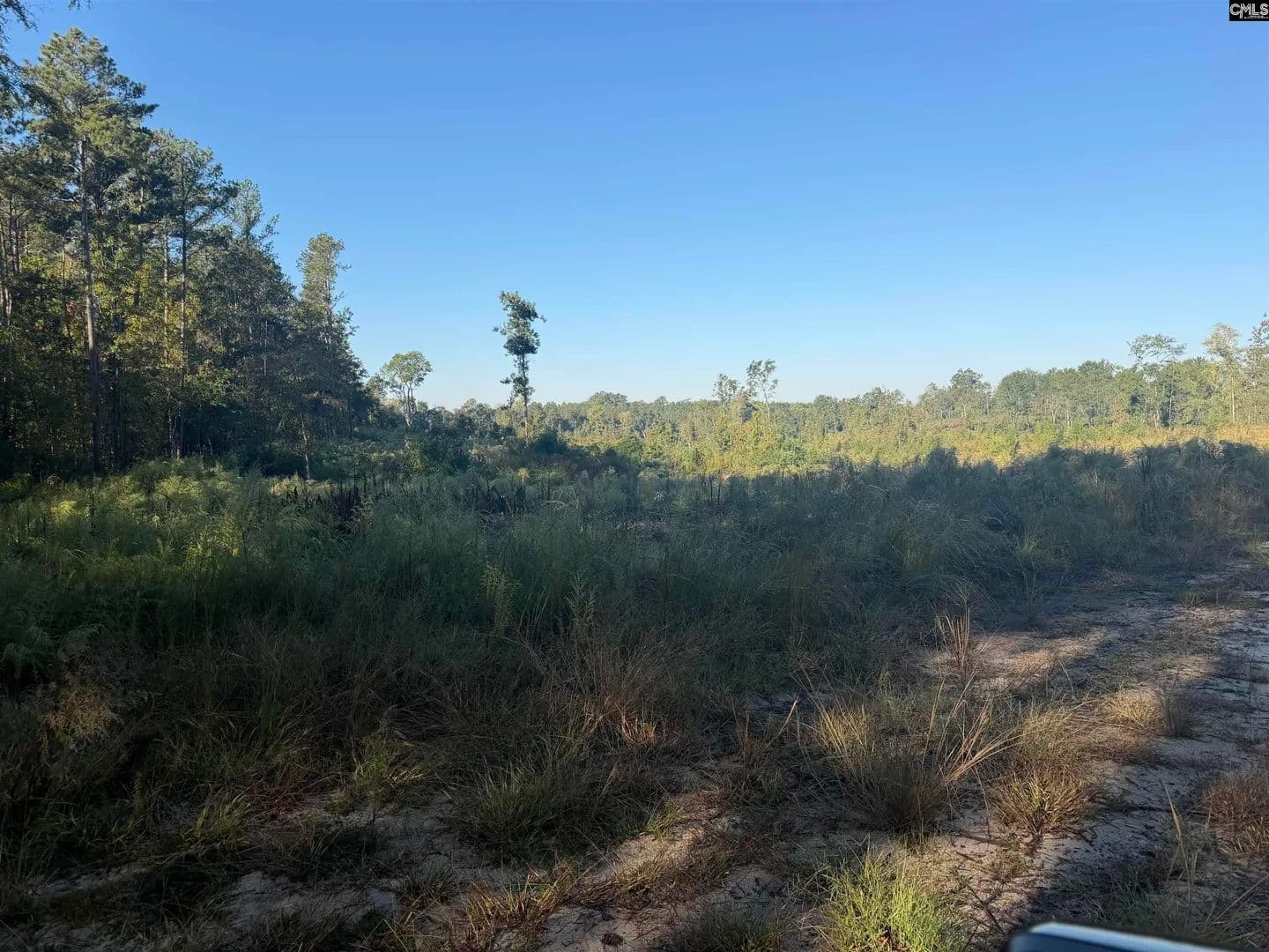 Vacant Land in Pomaria - land for sale