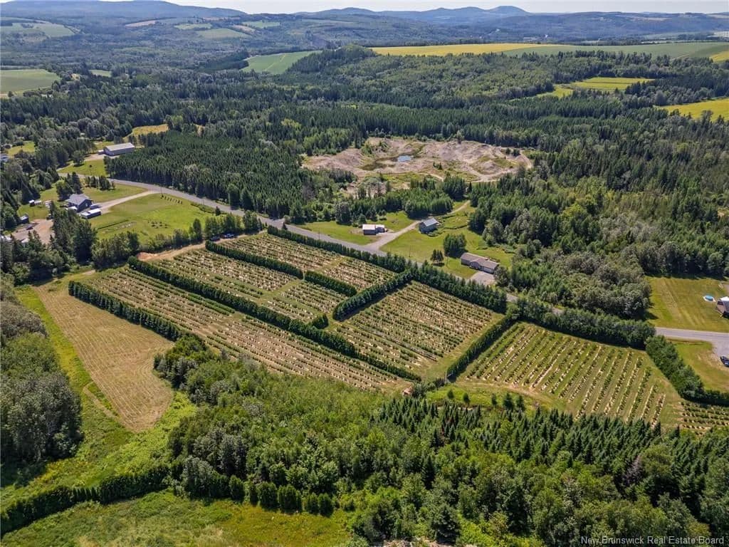 Land for Sale in DSL de Drummond/DSL of Drummond, NB - land for sale